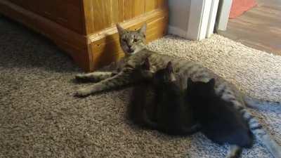 When it's dinner time and not all the kids come to eat. We've all had that parent yelling at us to stop playing and eat or have been the parent and can relate to mommas feels rn. And yes I know there's a void tossed in the mix. She had one random non stan