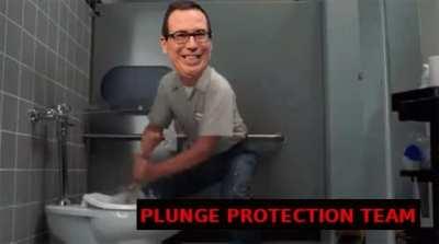 PLUNGE PROTECTION TEAM