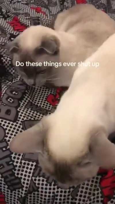 shut the ufkc uppp!!!!!!!!!!!!!