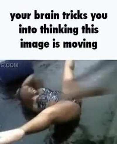 R/gayspiderbrothel got raided today