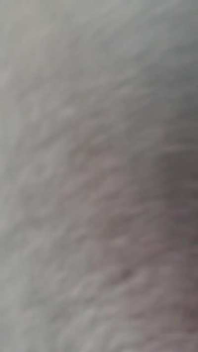 I marked my territory in the land of the Mouse