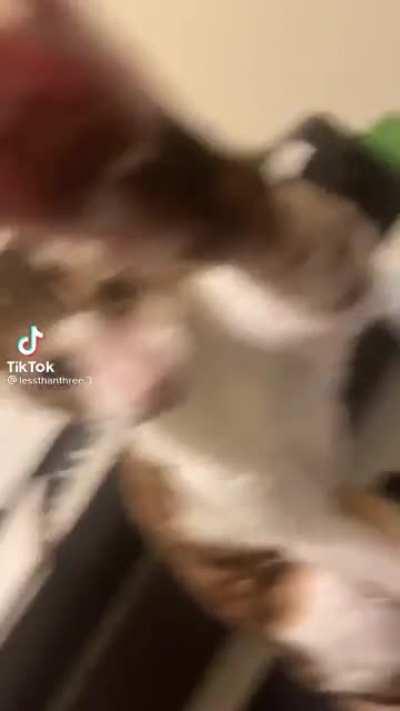 aweonasogang - Video #7238