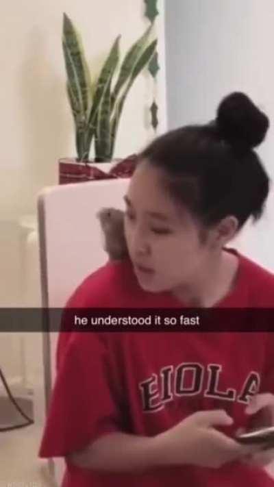 He understood the task