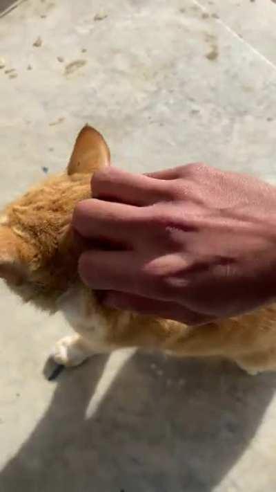 Why I’m always late for work