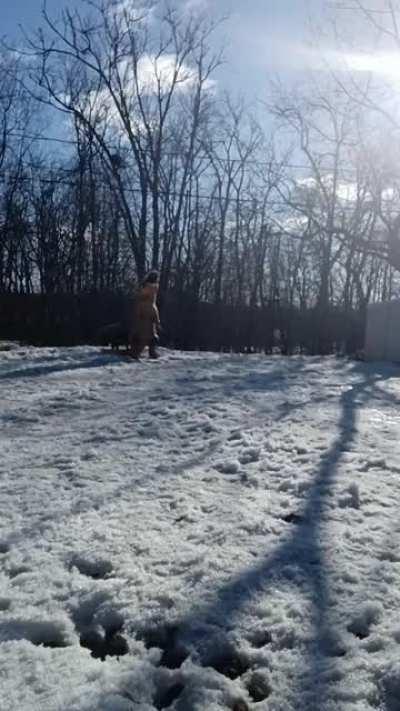 need help for animal identification