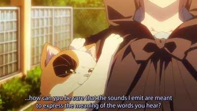 Talking cat [The Melancholy of Haruhi Suzumiya]