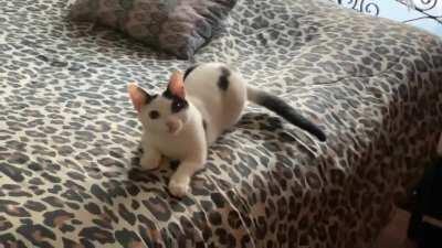 He always does this when check what is he doing