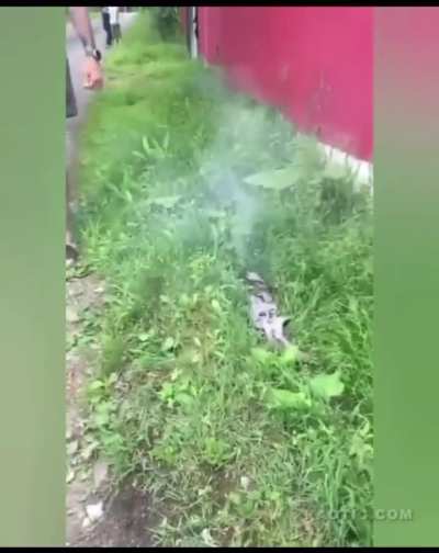 Man gets burst into flames, woman gets harpooned in the neck!