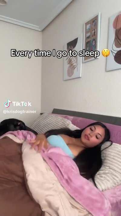 @krisdogtrainer Come and join me to sleep