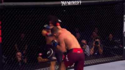 Petr Yan Boxing the Ears off John Dodson