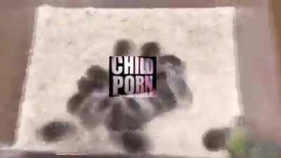 these damn hampters bruh 🤦‍♂️