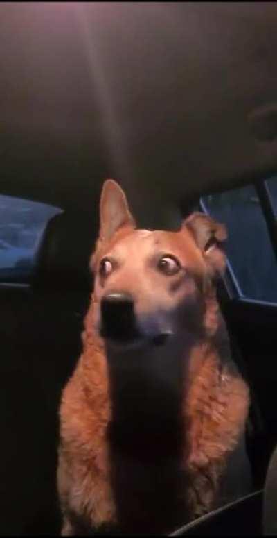 When you drove into a strange area and a fight started 🙈😳😅