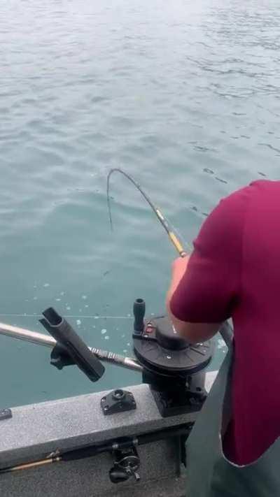 Just a casual day out fishing for salmon.........