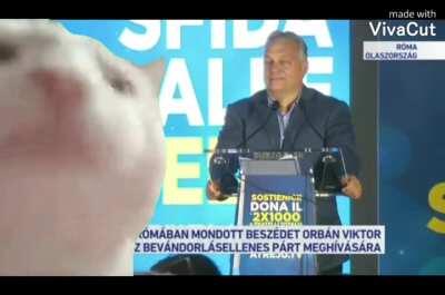 Még 2019-es de hatalmas az öreg