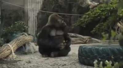 Вот не дадут песню послушать. Что за люди? The БайАн!