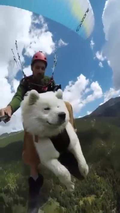 Man paraglides with dog as a mount up and above the forests.