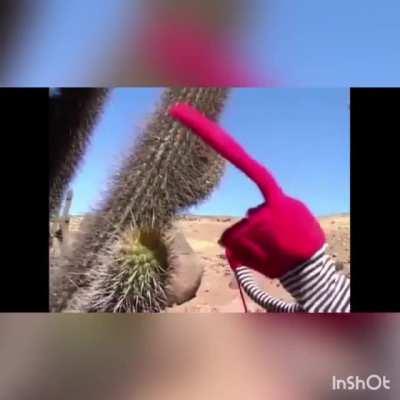 Eu fiz o meu melhor kkk