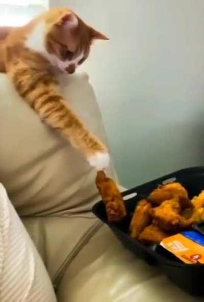 Что-то к лапе прилипло.