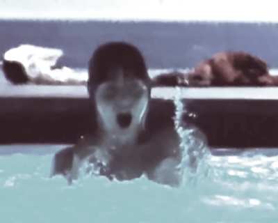 Zooey Deschanel - Gigantic (2008)