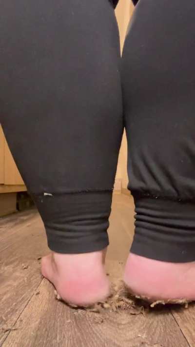 Filming when you have cats is always an experience 😅