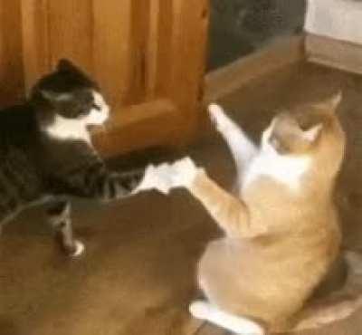 May the force be with you.