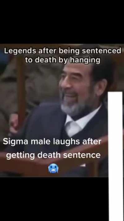 Sigma Saddam Hussein