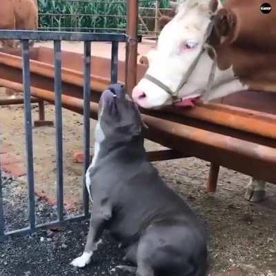 Gotta keep your nose clean