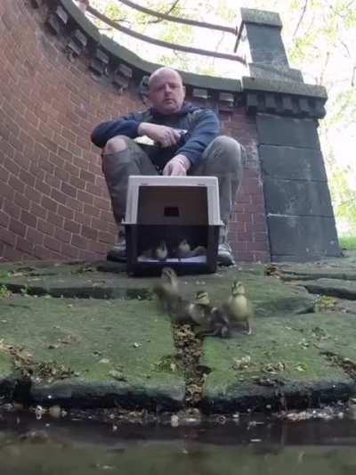 last one got the spirit