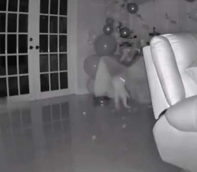 Surprise birthday party ruined by this asshole!!!