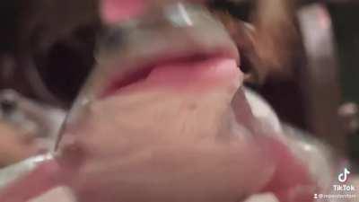 Cricket was fighting for its life 🤣