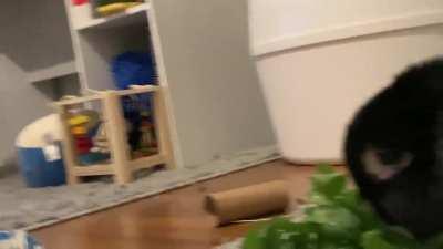 She’s on the edge of her seat watching her show!!