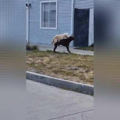 It's true, size doesn't matter