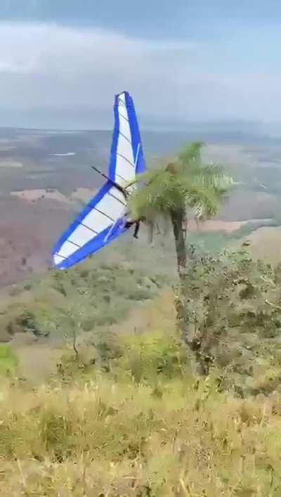 The only tree in the horizon...what could go wrong??? 