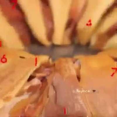 Cool recipe 🥰🥰😋😋🤤🤤🤤👍👍