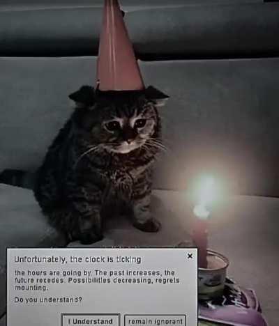 Every birthday I'm reminded of how little I've accomplished