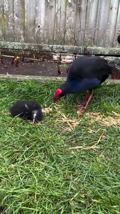 NEGATIVE INTERACTION!!!!!