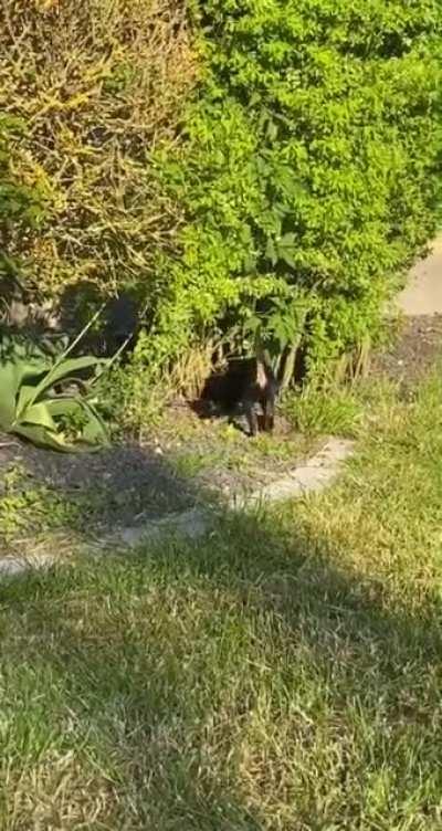 A lesson was learned..