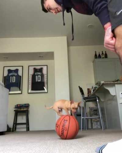HMK While I balance on a ball.