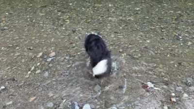 Skye had a very good time today