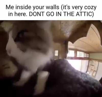 Seriously don’t do it, I just figured out your Wifi password