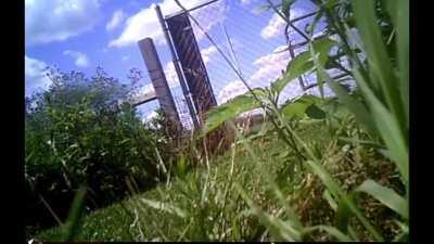 Man unloads magazine into neighbor.... he walks it off after being hit 4 times