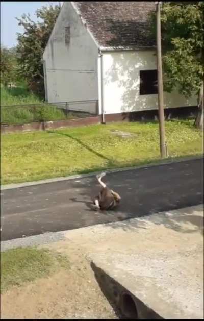 Baba riding a skateboard