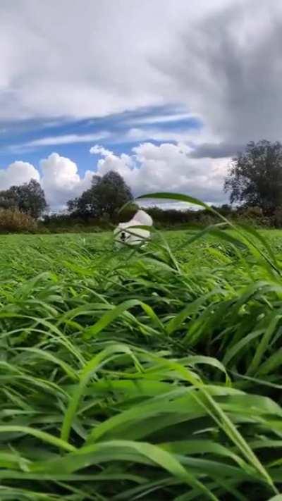 A low flying cloud over the green fields