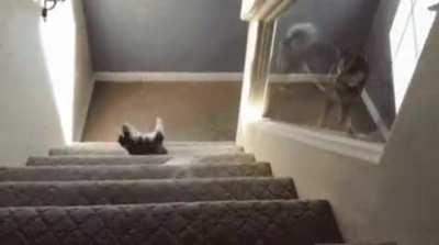 PuPpEr gEtS fUcKiNg ReCkt