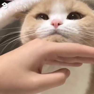 Making him feel better while the braincell is on a magical journey elsewhere.