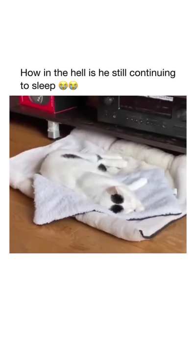 Bro is fighting in his dreams