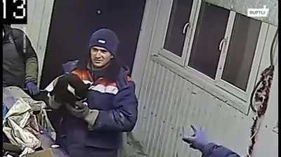 Give this hero a proper recognition. No cat should have gone through this. thanks to him.