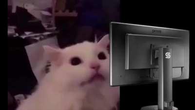 Driving through the tunnel in FH5 be like