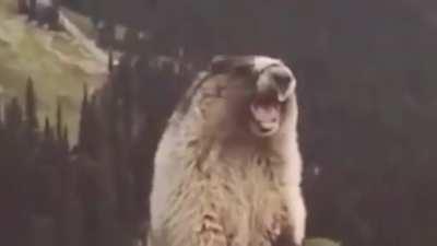 This is a sort of montage I guess that took me a while to make and I hope y’all enjoy it