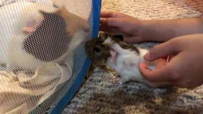 Grandpa and grand baby